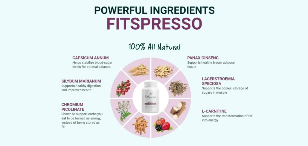 Fitspresso-Ingredients-1024x488