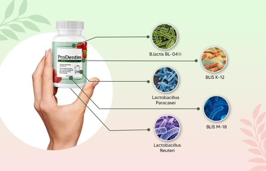 prodentim-ingredients